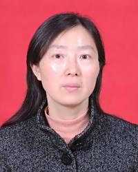 陈晓文