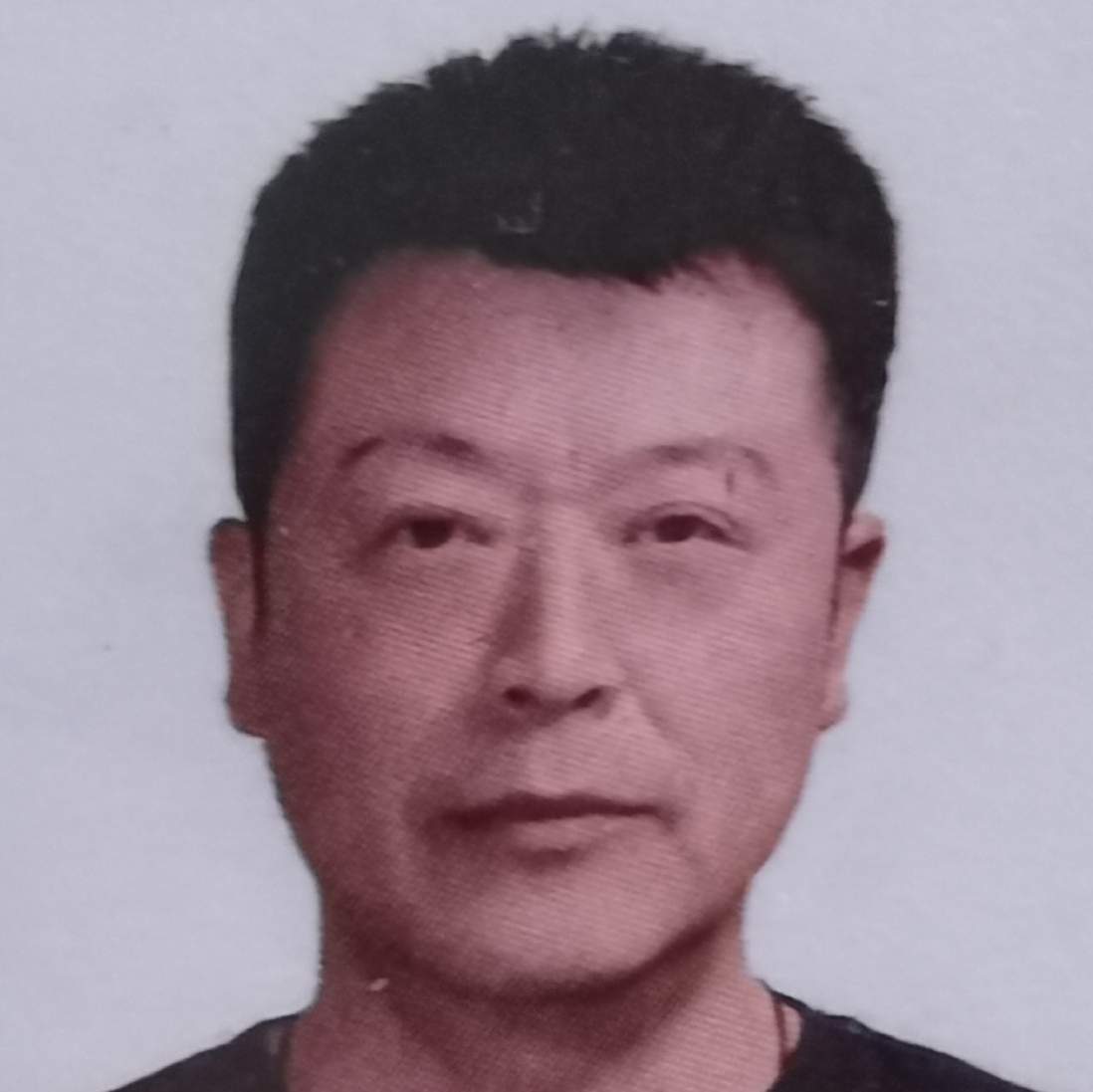 赵文