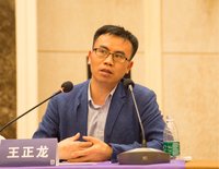 王正龙