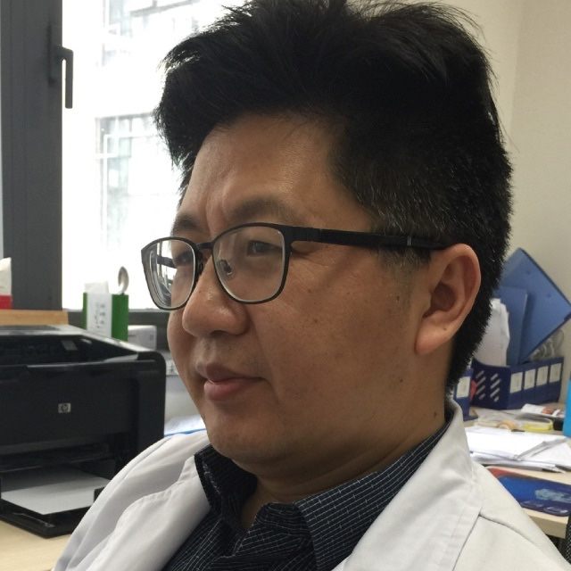 陈健