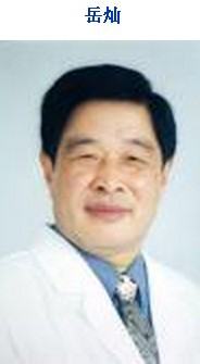 岳灿