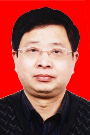 张力人