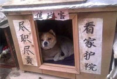 侯佳宁