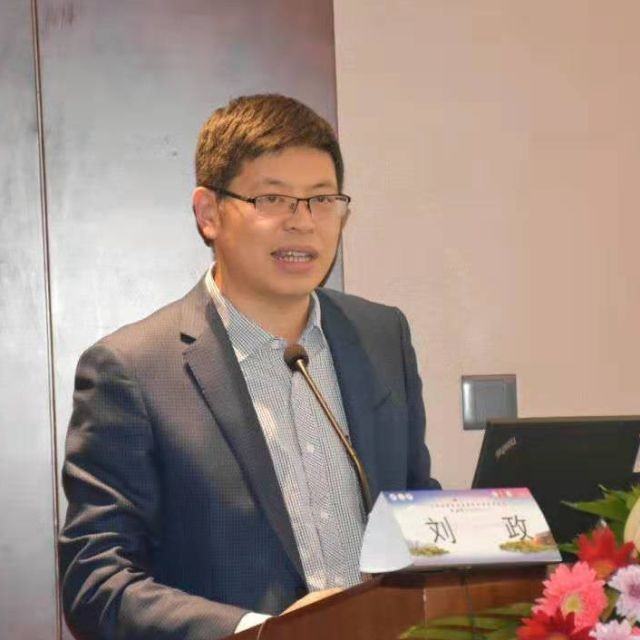 刘政
